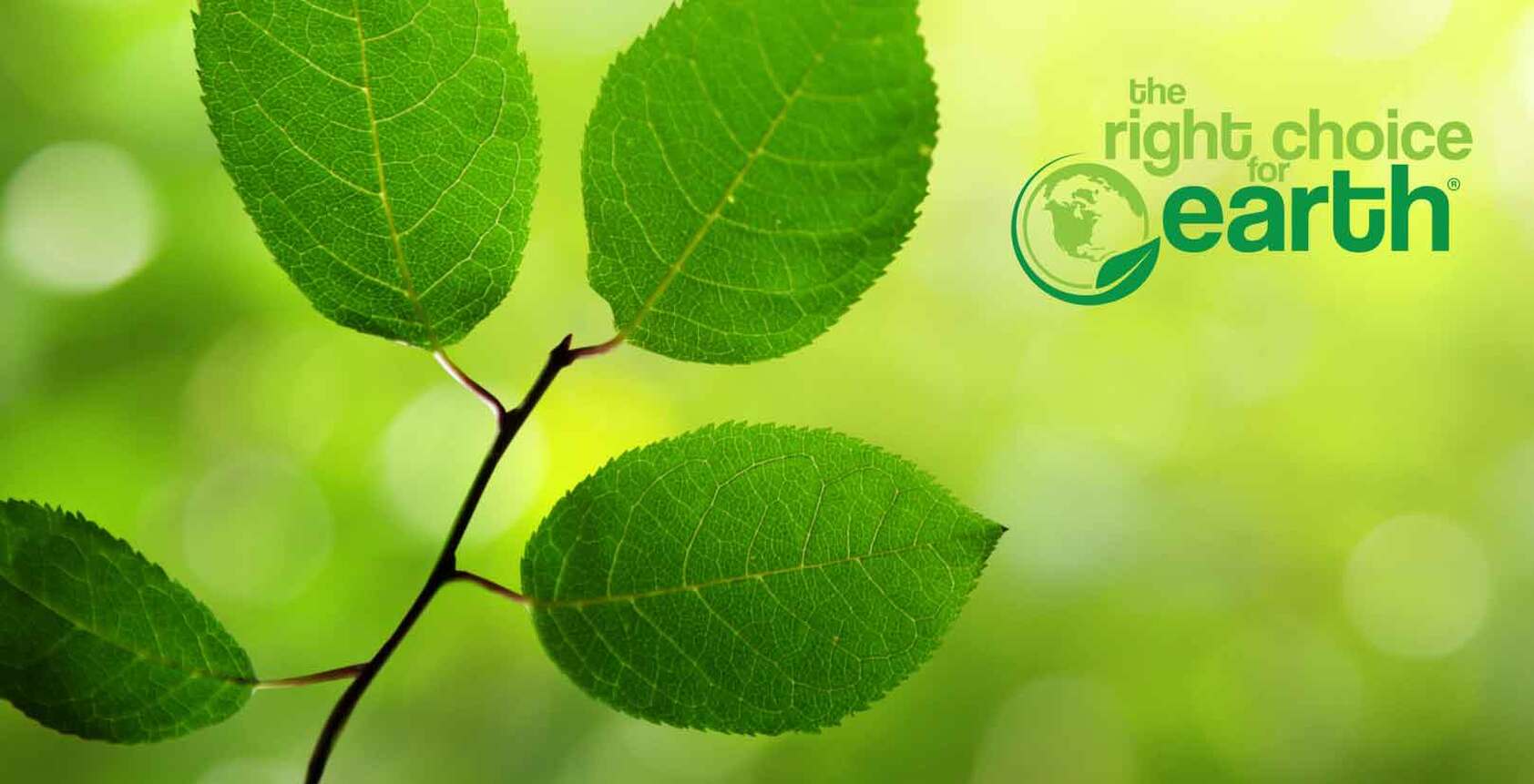 Sustainability The Right Choice for earth Sustainability